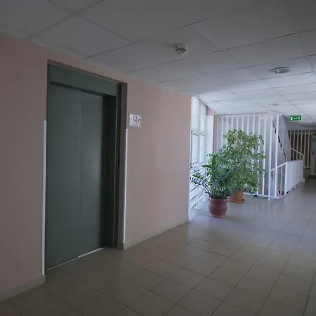 Dorka * זלקרוס